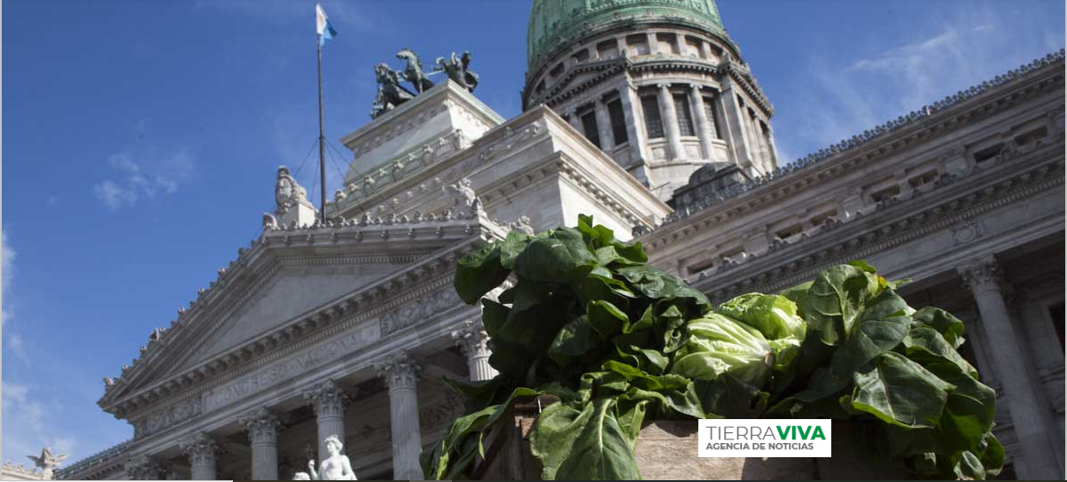 “El primer año de Milei fue una burla a la agricultura familiar”