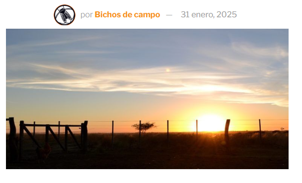 Datos oficiales: Los sueños húmedos del potencial petrolero se secan rápido cuando aparecen las cifras de la capacidad de generación de divisas del agro