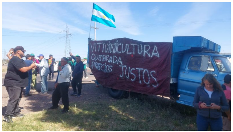 Crisis vitivinícola: Escuchamos situación de pequeños productores