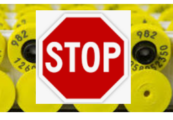 SI NO PRIMA LA REFLEXIÓN IREMOS POR EL CAMINO DEL AMPARO