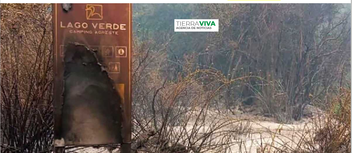 Incendio en Los Alerces: “Se está quemando nuestra historia, nuestro hogar, nuestro bosque”