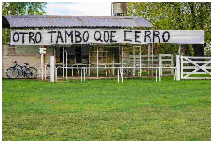 La lechería sigue cayendo: menos tambos y más concentración