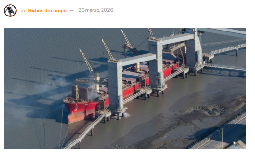 Silencio en el río: Un economista advierte que la nueva licitación de la hidrovía podría costarle 400 millones de dólares anuales a los productores