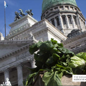 “El primer año de Milei fue una burla a la agricultura familiar”