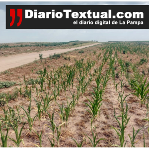 Ampliaron la emergencia por sequía en La Pampa: 12 millones de hectáreas afectadas