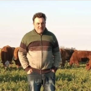El meticuloso productor que hizo números y descubrió que el poder de compra de sus terneros retrocedió casi 40% desde que empezó el gobierno de Milei