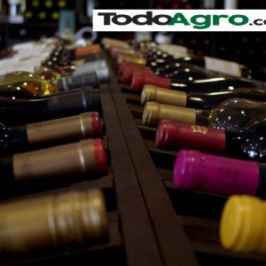 Bolsillos flacos y cambios de hábitos impactan en la producción vitivinícola