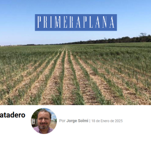 Camino al Matadero