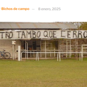 Noticia no apta para gente sensible: En 2024 en la Argentina cerraron 1.068 tambos, más del 10% de los que había un año antes