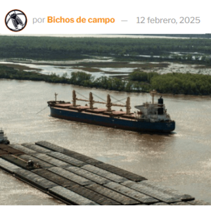 Hidrovía: Se abren los sobres de la licitación que definirá por décadas cuánto dinero pondrán los productores agrícolas de su bolsillo