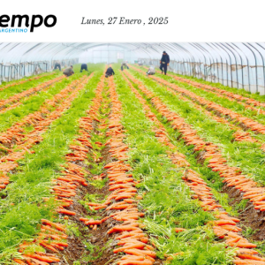 El país granero del mundo duplicó la importación de alimentos en sólo seis meses