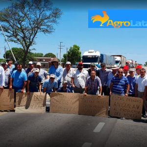 La pérdida de productores agropecuarios, una deuda de la democracia argentina