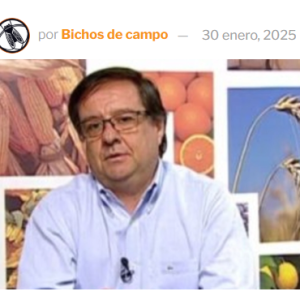 La visión de Carlos Etchepare sobre la rebaja de retenciones: “Está muy claro que esto no fue pensando en los productores”