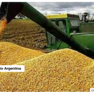 Los pequeños y medianos productores afirman que la baja de las retenciones “es totalmente insuficiente”