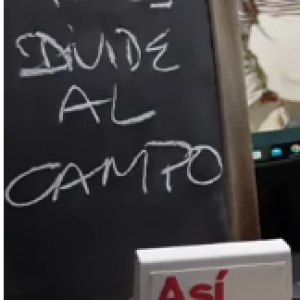 NACIONALES: MILEI DIVIDE AL CAMPO.