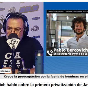 Pablo Bercovich habló sobre la primera privatización de Javier Milei