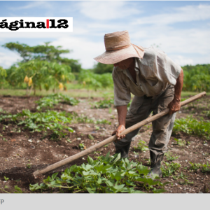 Por la crisis, pequeños agricultores piden una reunión con gobernadores