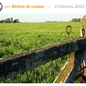 ¿Por qué hay tanta resistencia al aumento del Inmobiliario Rural en Córdoba (y otros lugares)? Porque el productor deberá pagar 172% de aumento anual, cuando su ingreso creció en promedio menos de 40%