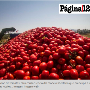 ¿Qué culpa tiene el tomate? Por primera vez en setenta años, llegan desde Paraguay
