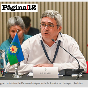 Un gobierno que rompe los códigos. El impacto de la desregulación para la importación de alimentos y bebidas