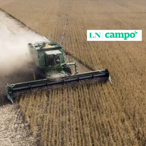 Un informe del Departamento de Agricultura de Estados Unidos y el clima adverso de Sudamérica dispararon el precio de los granos