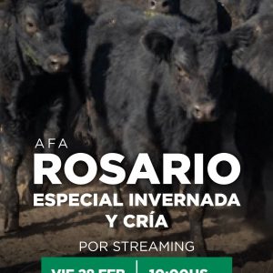 Próximo 28/02 remate AFA por STREAMING !! Estamos filmando!!!!! Consulte !!