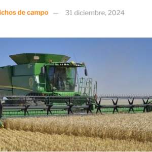 Balance 2024: Un resumen de la Bolsa de Córdoba expone con claridad las razones de las quejas de los productores de granos