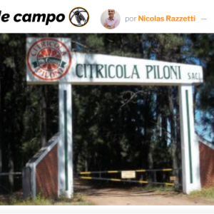 Con subas mensuales de costos y precios planchados, los citricultores alertan por la falta de rentabilidad: “No vamos a tener retorno para invertir”, dice el productor Gustavo Piloni