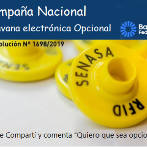 Campaña Nacional Caravana Electrónica Opcional