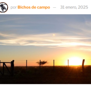 Datos oficiales: Los sueños húmedos del potencial petrolero se secan rápido cuando aparecen las cifras de la capacidad de generación de divisas del agro