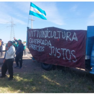 Crisis vitivinícola: Escuchamos situación de pequeños productores