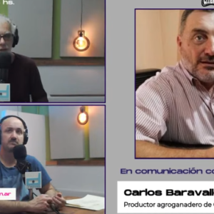 Carlos Baravalle: “La quita de retenciones fue una gran estafa de las exportadoras, Milei y Caputo”