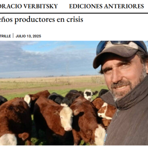 Campo crítico