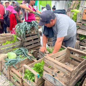 Cientos de cajones de fruta y verdura irrumpieron hoy en Plaza de Mayo: Pequeños productores de todo el país realizaron un “alimentazo” bajo la consigna “basta de hambre”