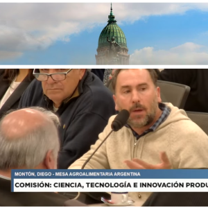 MONTÓN DIEGO – MESA AGROALIMENTARIA ARGENTINA