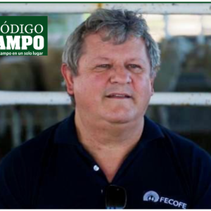 Califican de catastrófica la situación del sector productivo argentino