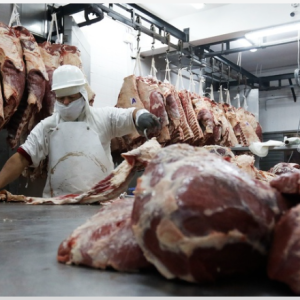 La encrucijada de los pequeños productores ganaderos