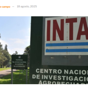 Salió el mega decreto que anticipó Bichos y ahora habrá alargue en el partido del INTA: La final se jugaría esta misma semana en el Senado