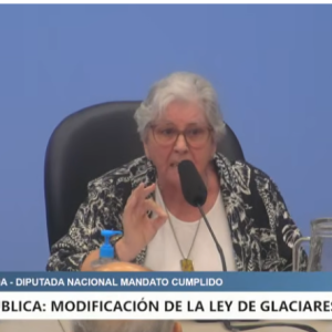 “Es una ley regresiva”, advirtió Marta Maffei CO-AUTORA DE LA LEY DE GLACIARES en pleno debate en Diputados.