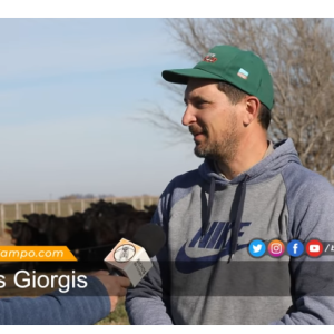 Carlos Giorgis, ingeniero agrónomo y productor en Laboulaye, Córdoba