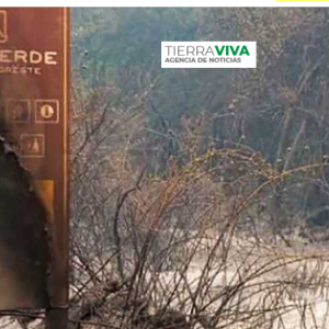 Incendio en Los Alerces: “Se está quemando nuestra historia, nuestro hogar, nuestro bosque”