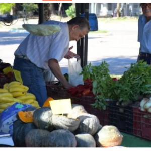 Más de 400 productores participan del 25º Encuentro de Ferias Francas