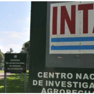 Expresidentes del INTA salieron a rechazar el proyecto de ajuste en el instituto: “No permitan este atropello denigrante y mercantil”, dijeron