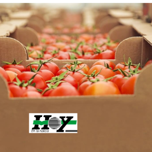 La importación de alimentos rozó máximos históricos