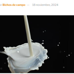 Cansados de hablar de la concentración en la lechería, la noticia ahora es que en 2024, por primera vez la Argentina tiene menos de 10.000 tambos activos