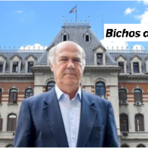 En su primera conferencia de prensa, el secretario de Agricultura brindó datos concretos sobre la prometida rebaja de retenciones para 2025