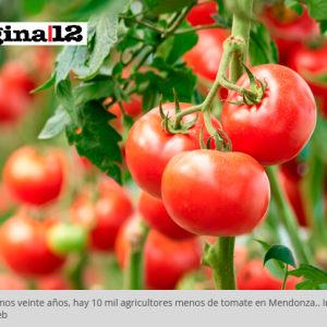 El sistema agroalimentario argentino está en riesgo